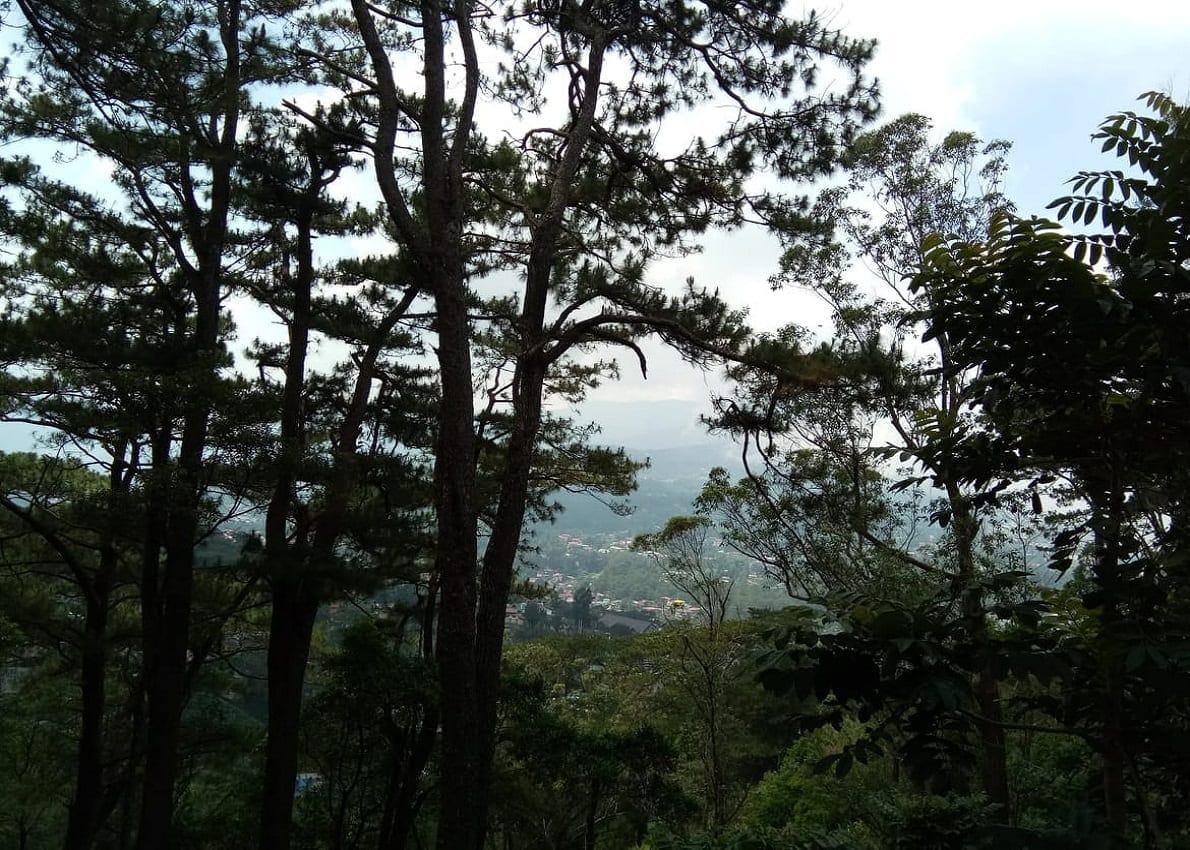 Baguio City Travel Guide - Places to Visit