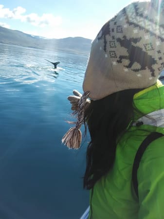 Iceland: the day when I first saw a whale: photo 4