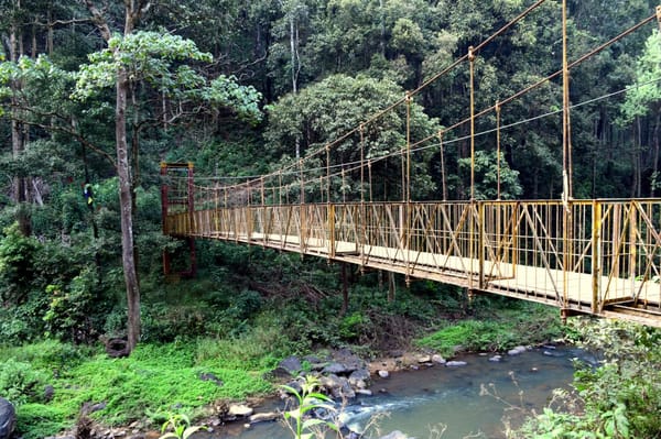 COORG – The Scotland of India!: photo 13