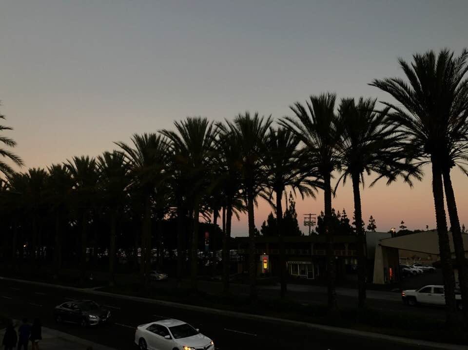 California Coastal Road Trip!