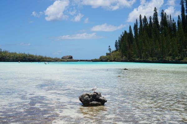 Isle of the Pines in New Caledonia - French paradise: photo 6