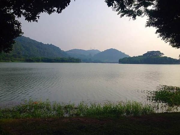 Best Things to Do, See, and Eat in Shunde, China: photo 1