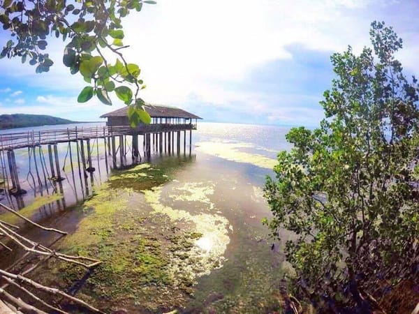 Philippines: The Majestic Island of Siquijor: photo 18