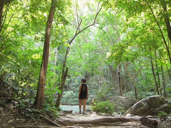 Budget Trip to Thailand - Reconnecting with Nature and Locals: photo 5