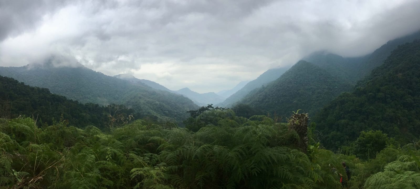 What to Expect from the Trek to the Lost City of Santa Marta