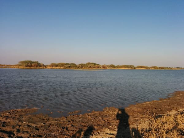 Little Rann of Kutch: Gujarat: photo 2
