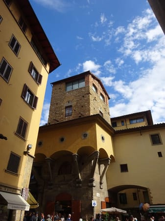 Solo in Florence: Exploring the beauty of Italy: photo 3