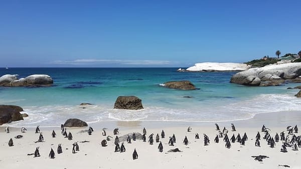 Cape Town As A Holiday Destination: photo 1