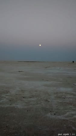 The White Desert : Rann of Kutch: photo 10