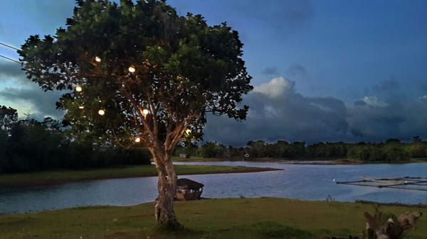 BLOC Camp Site: Laguna’s Hidden Getaway Spot: photo 3