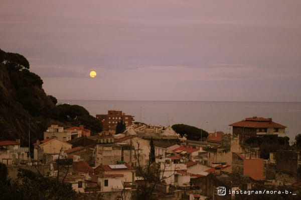 Barcelona: where idealism and reality become one: photo 19