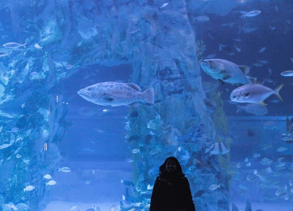 KOREA: Best things to do during winter: photo 15
