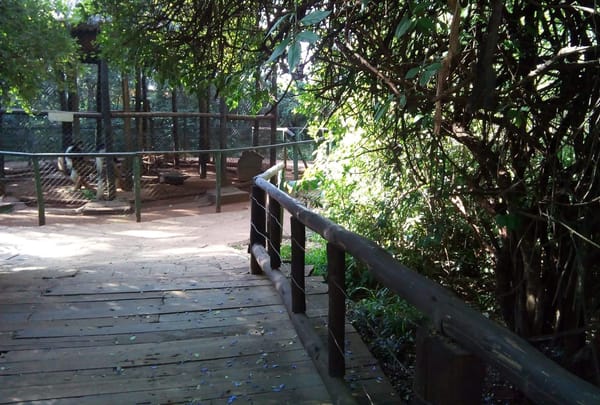 An Afternoon at the Nairobi Safari Walk.: photo 10