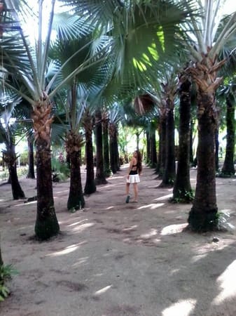 Cayucyucan Beach: Have It All For Your Own: photo 2