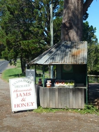 BACK TO NATURE – SYDNEY’S FARM GATE TRAIL: photo 3