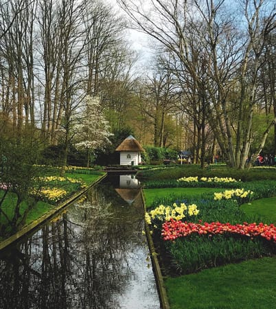 Amsterdam in Spring: What to do and where to go.: photo 3