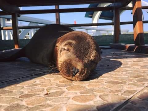 A Beautiful Paradise: The Galapagos Islands: photo 1