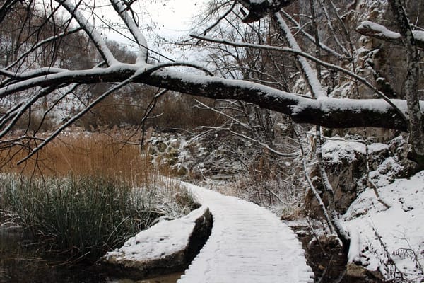 Plitvice Lakes: a frozen paradise during winter: photo 3