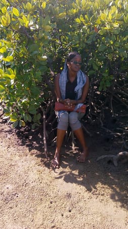 Staying safe on a mangrove site visit in Junda.: photo 4