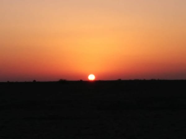 Little Rann of Kutch: Gujarat: photo 5