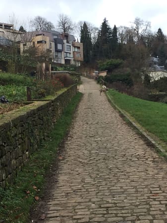 LUXEMBOURG WITH KIDS. MANUAL. DAY 1: photo 15