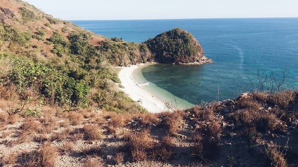 Cuyo Island: A Trip To Remember: photo 7