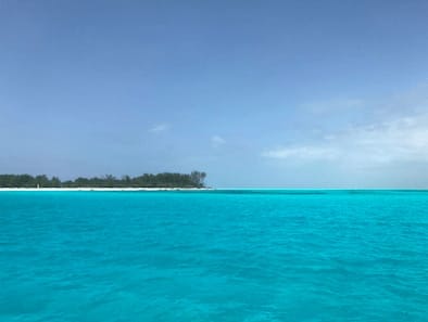 Zanzibar: Beautiful Beaches and Winding Alleys: photo 1