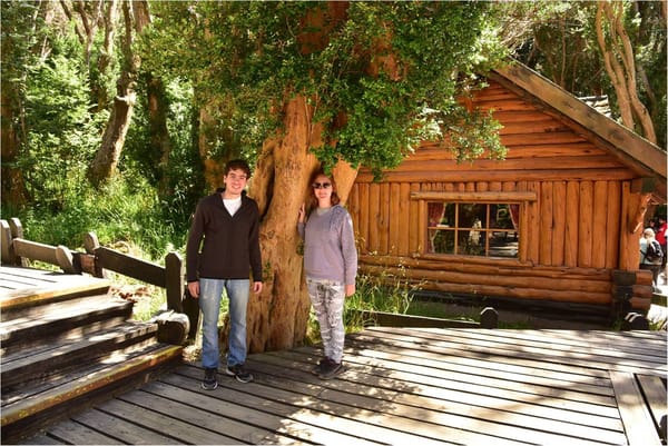 Argentina: three cities to visit in Patagonia: photo 5