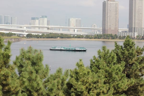 JAPAN: 10 DAYS IN TOKYO: photo 12