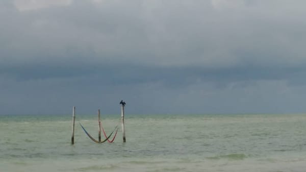 Cancun, Mexico: The side that no tourist knows about.: photo 6