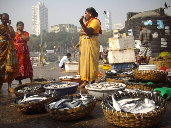 Explore The City Of Dreams With The Mumbai Travel Guide: photo 6