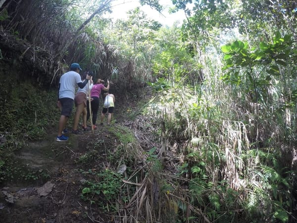 Must see sites at Banaue, Philippines: photo 18