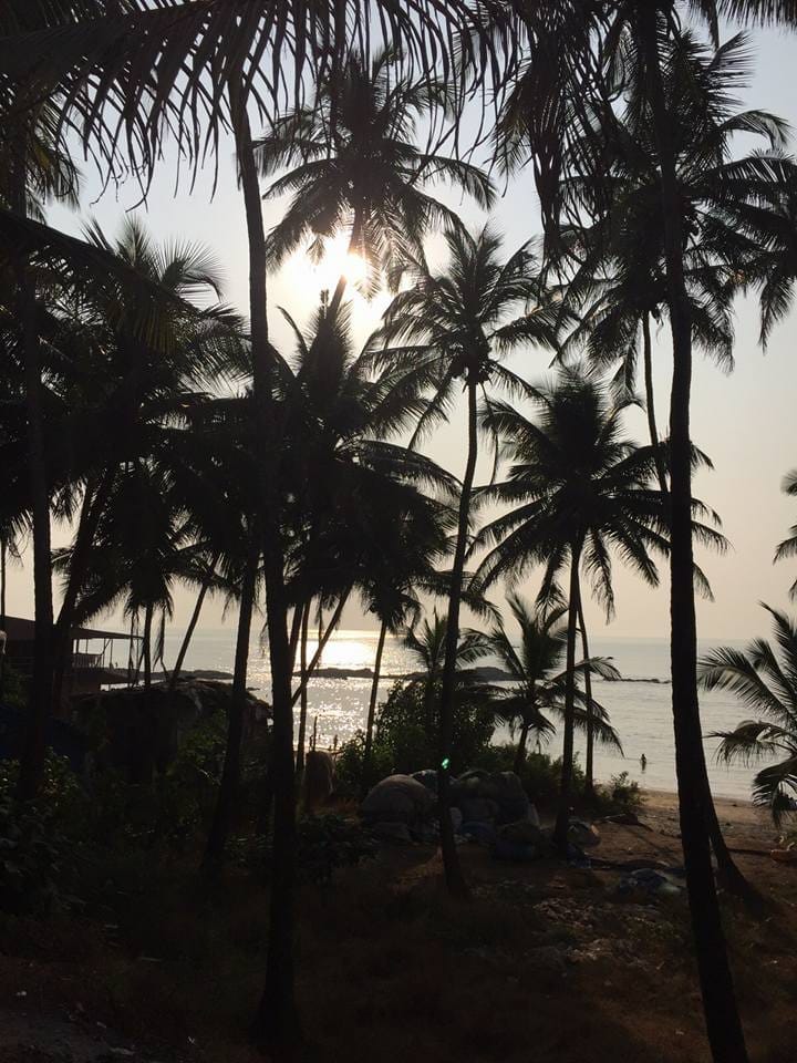 GOA- A FUN LOVER