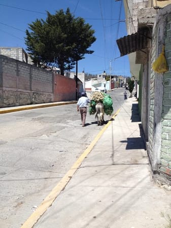 How to do Pachuca, Mexico, like a local.: photo 8