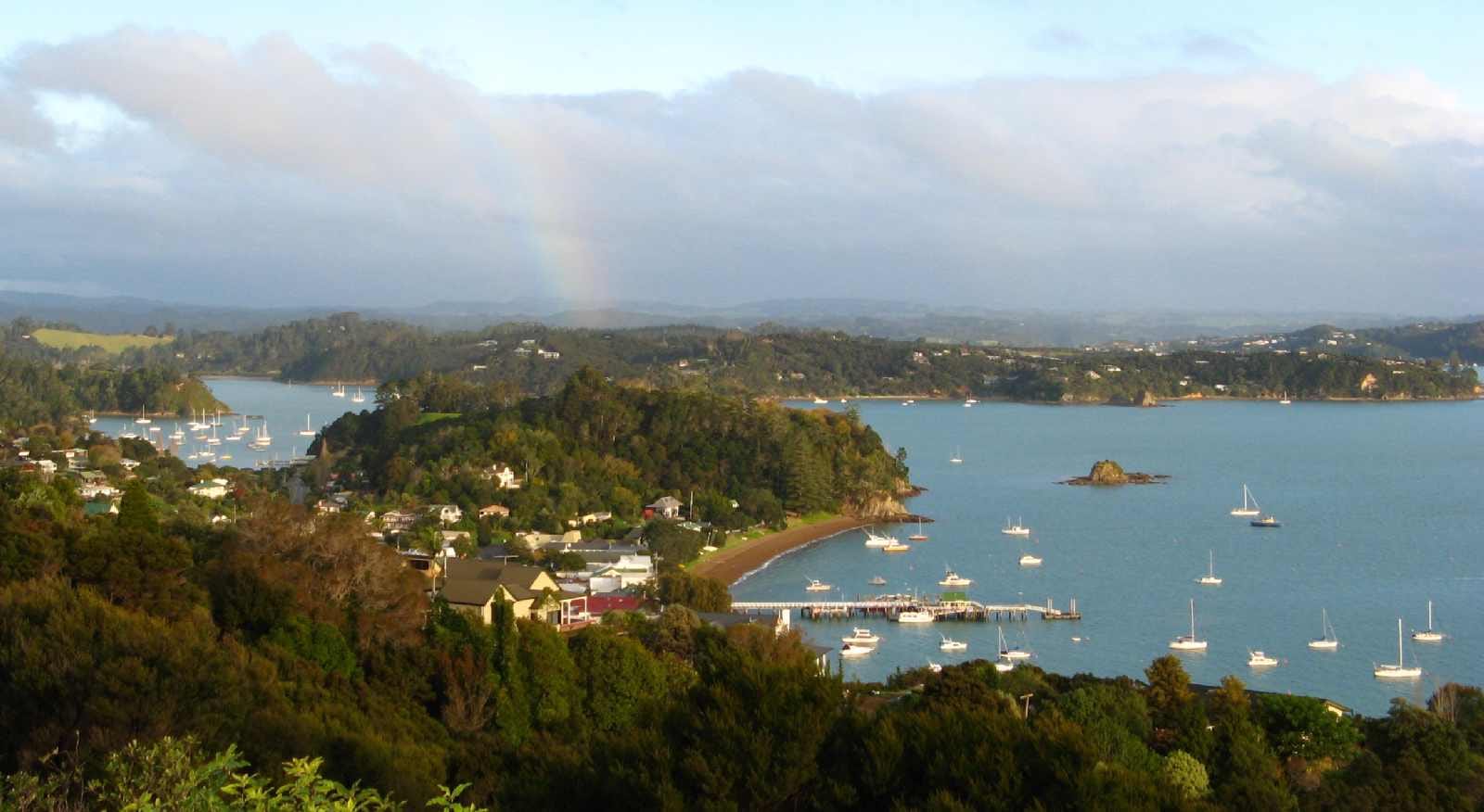 Swimming with Dolphins in Russell, New Zealand