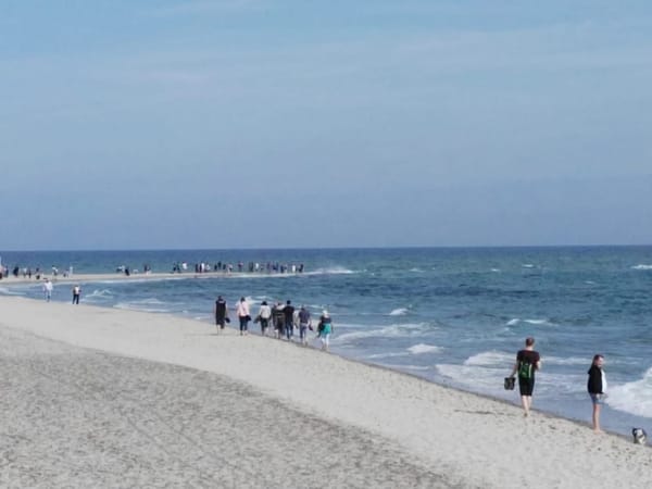 Hyggelig Denmark: Visit the Coziest Country in the Planet: photo 2
