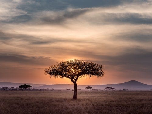 South Africa travel guide: photo 2