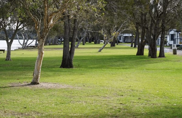 Forster: A holiday away on the water!: photo 1