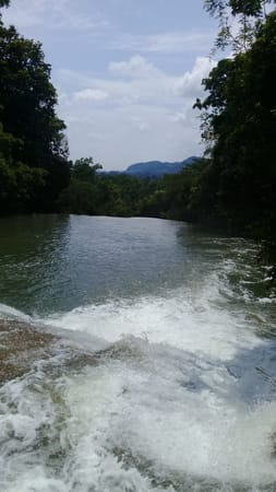 Stunning natural places to practice ecotourism in Chiapas: photo 4