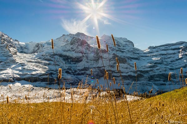 Swiss Alp Hiking Guide: Best Hikes of the Region: photo 3