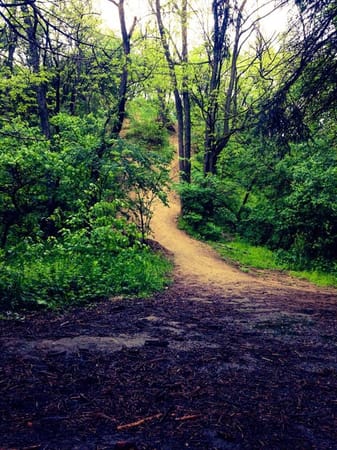 Sofia's hidden treasure - The South Park: photo 26
