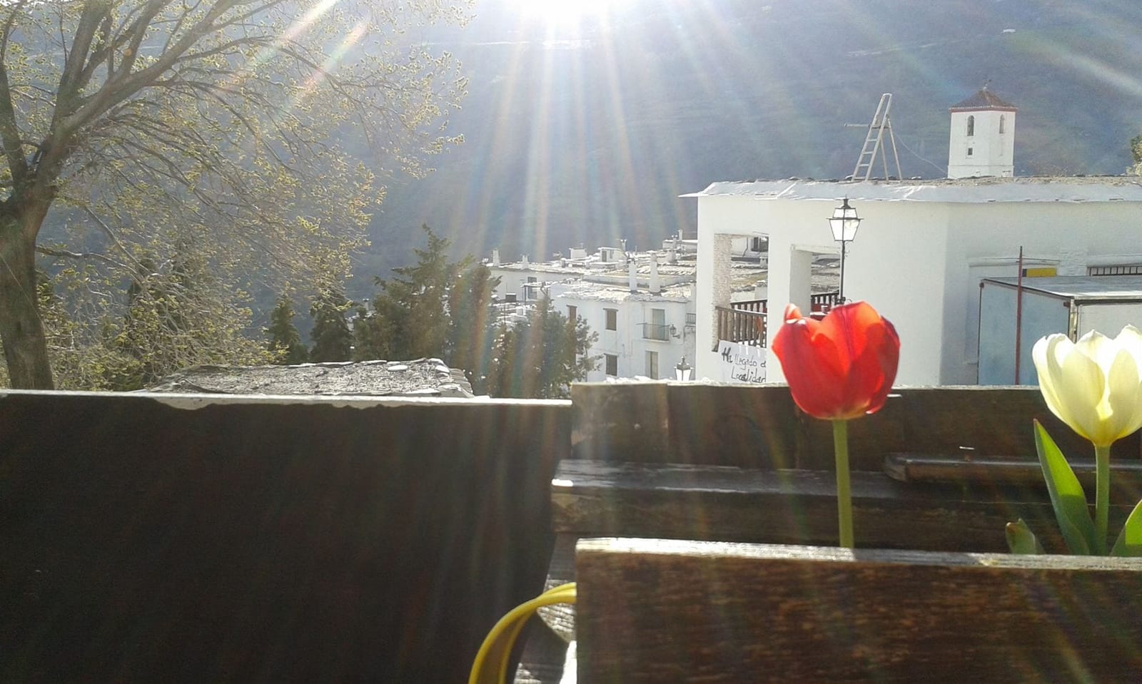 Slow Travel in La Alpujarra, Andalusia