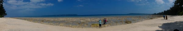 Andaman : The undisputed Paradise.: photo 13