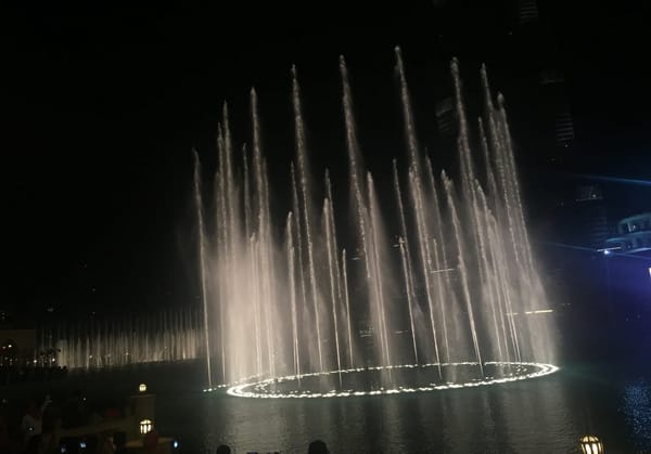 Surprises that greet a Pakistani in Dubai: photo 4