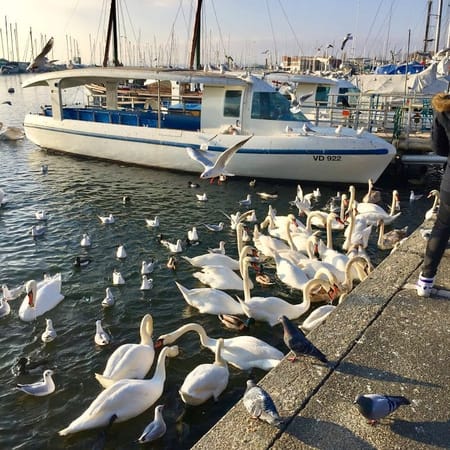 Lausanne – the Olympic Capital: photo 13