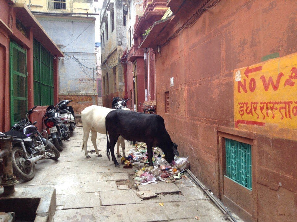 Varanasi, the holy city of death