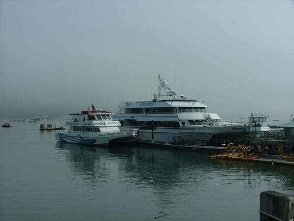 Maine: Spring Vacation in Bar Harbor: photo 1
