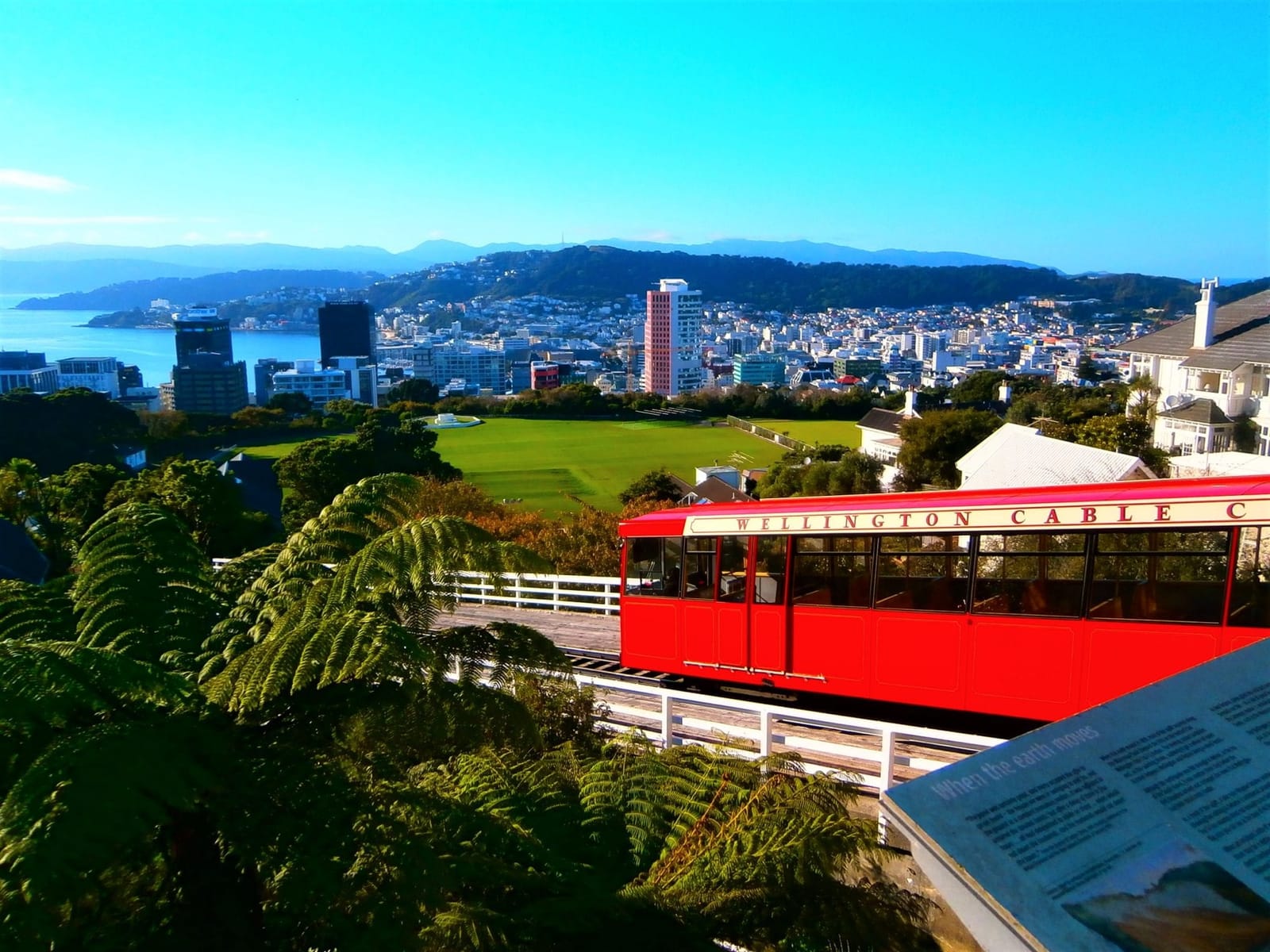 The Best Of Wellington In One Day