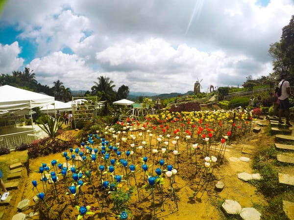 Top 10 Tourist Spots to Visit in Cebu City, Philippines for a Day: photo 2