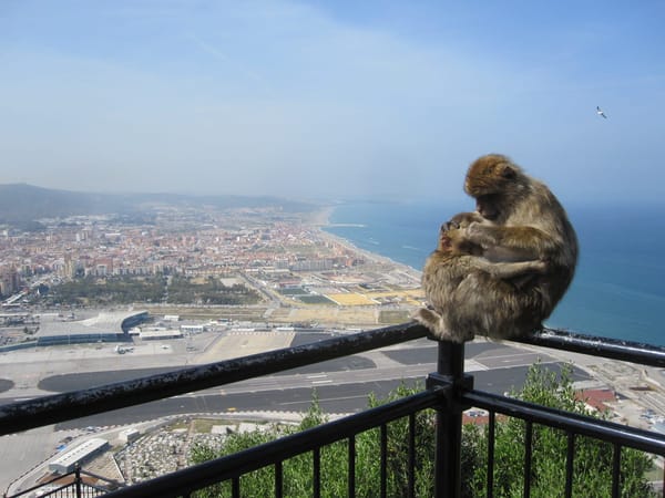 Gibraltar in a Day – A Taxi on the Edge: photo 3